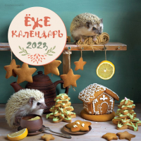 

Календарь настенный Эксмо, Ежекалендарь. Пряники 2023г / 9785041642365
