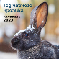 

Календарь настенный Эксмо, Год черного кролика 2023г / 9785041645069