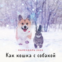 Календарь настенный Эксмо Как кошка с собакой 2023г / 9785041636395 - 