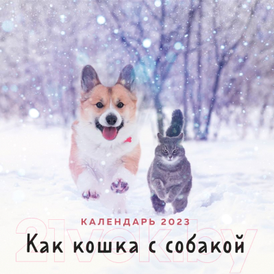Календарь настенный Эксмо Как кошка с собакой 2023г / 9785041636395