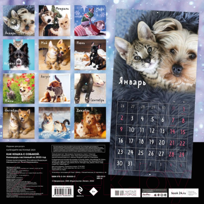 Календарь настенный Эксмо Как кошка с собакой 2023г / 9785041636395