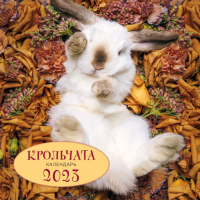 

Календарь настенный Эксмо, Крольчата 2023г / 9785041642679