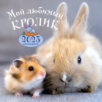 

Календарь настенный Эксмо, Мой любимый кролик 2023г / 9785041642570