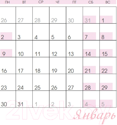 Календарь настенный Эксмо Фламинго 2023г / 9785041693312