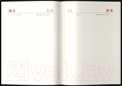 Изображение товара Ежедневник Delucci Датированный А6 / DD3_89601 (184л, черный)