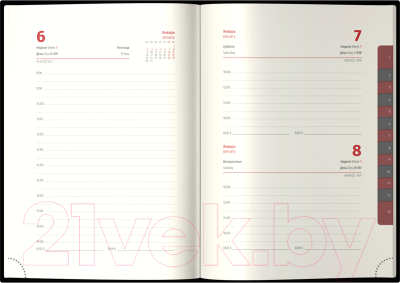 Изображение товара Ежедневник Delucci Датированный А6 / DD3_89601 (184л, черный)