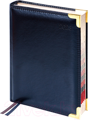 Изображение товара Ежедневник Delucci Датированный А6 / DD3_89601 (184л, черный)