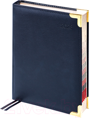 Изображение товара Ежедневник Delucci Датированный А6 / DD3_90601 (184л, черный)