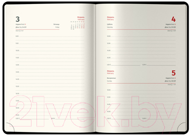 Изображение товара Ежедневник Berlingo Silver Pristine A6 / DD3_82604 (184л, коричневый)