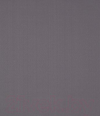 Рулонная штора LEGRAND Лайт 38x175 / 58095222 (темно-серый)