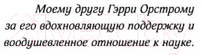 Художественная книга АСТ Охотник (Мэйн Э.) — фото 4