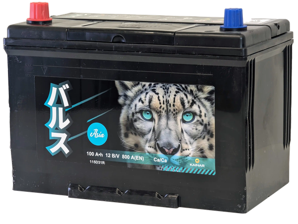 Автомобильный аккумулятор BARS Asia 100 JL / 090 141 09 0 R (100 А/ч)
