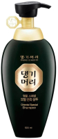 Шампунь для волос Daeng Gi Meo Ri Oriental Special Shampoo (500мл) - 