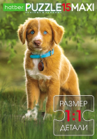 

Пазл Hatber, Maxi Мой лучший друг / 15ПЗ4_28371