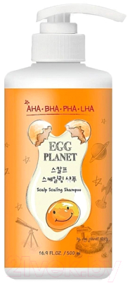 Шампунь для волос Daeng Gi Meo Ri Egg Planet Scalp Scaling Shampoo (500мл)