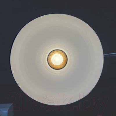 Изображение товара Потолочный светильник Imperiumloft OMG1 / 101863-26