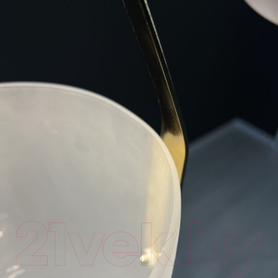 Изображение товара Потолочный светильник Imperiumloft 40.2332 / 123601-22