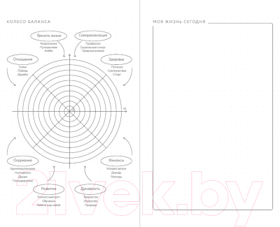 Мотивационный ежедневник Альпина Visual Planner. Цели. Мечты. Достижения / 9785961480191 (Головина Ю.)