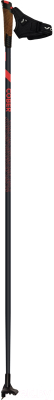 Палки для беговых лыж Cober Explorer / 9212 (р-р 165)