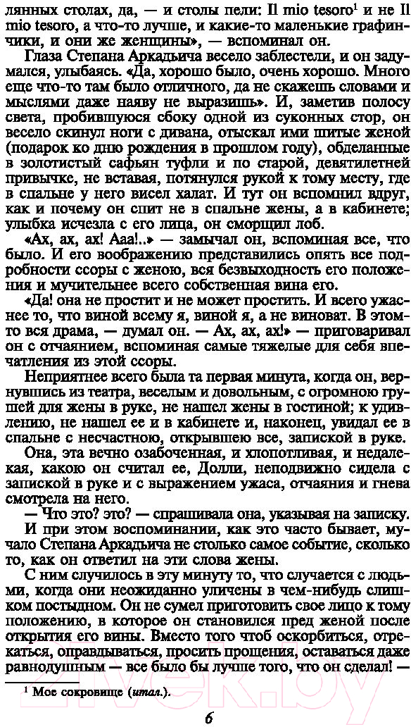 Художественная книга АСТ Анна Каренина (Толстой Л.) — фото 5
