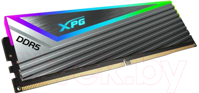 Оперативная память DDR5 A-data AX5U6000C3016G-DCCARGY