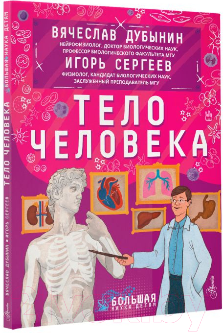 Энциклопедия АСТ Тело человека (Сергеев И., Дубынин В.) — фото 2