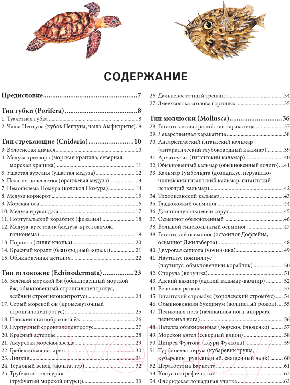 Энциклопедия Эксмо Подводный мир. Большая иллюстрированная энциклопедия