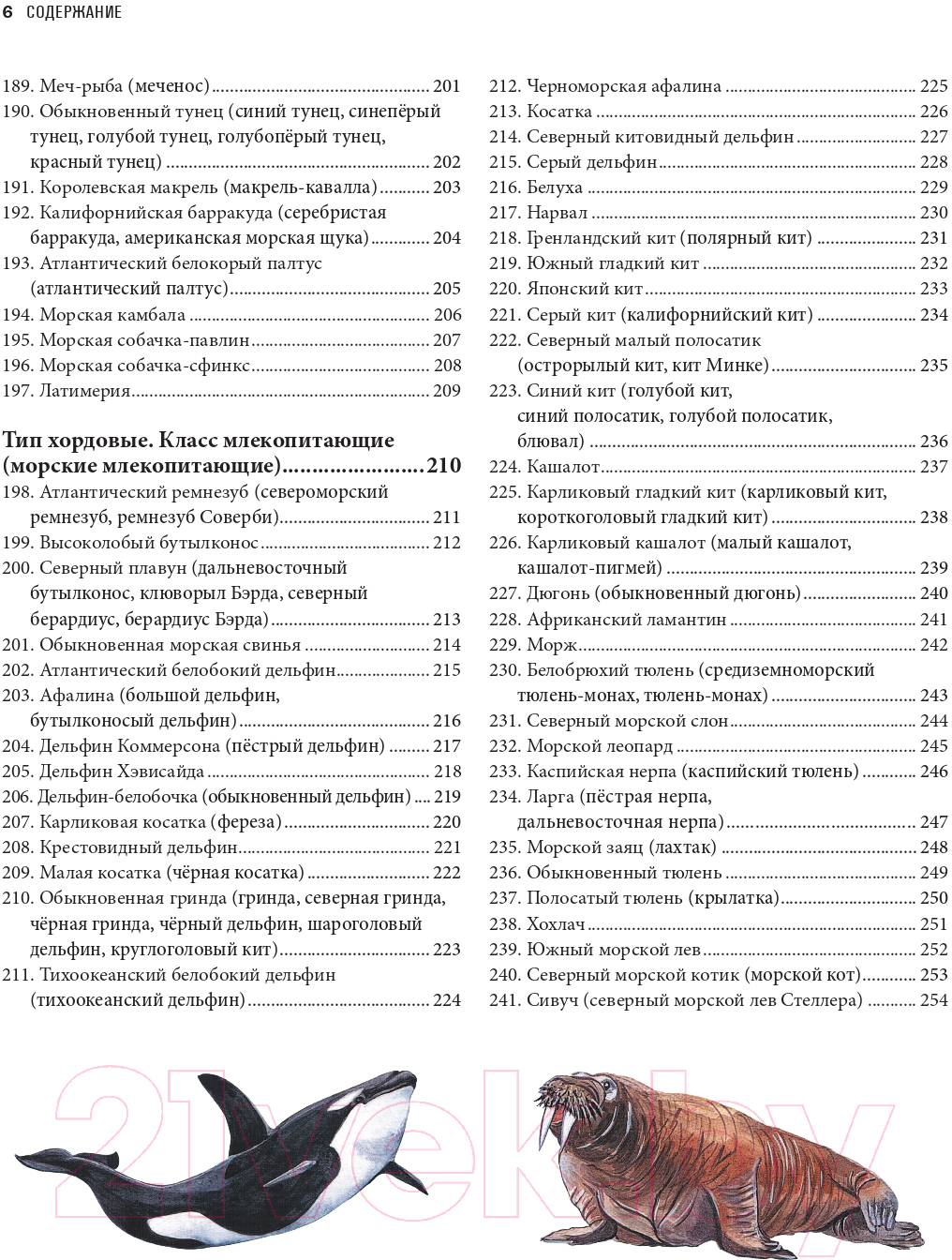 Энциклопедия Эксмо Подводный мир. Большая иллюстрированная энциклопедия