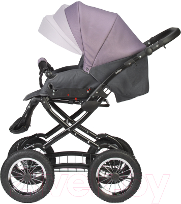 Детская универсальная коляска INDIGO Charlotte Sity Classic 12 (Cs 03, темно-серый/фиолетовый)