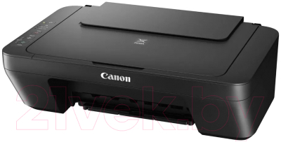 МФУ Canon Pixma MG2555S / 0727C026