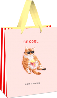 

Пакет подарочный Meshu, Be cool / MS_45748