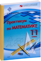 Учебное пособие Выснова Практикум по математике. 11 класс (Федорако Е.) - 