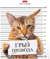 

Тетрадь Hatber, Кот-обормот / 48Т5В1