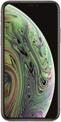 Изображение товара Смартфон Apple iPhone XS 64GB / 2AMT9E2 восстановленный Breezy (темно-серый)