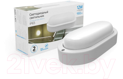 Изображение товара Светильник ЖКХ Gauss Elementary 161411312