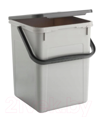 Контейнер для хранения Rotho Cool для стирального порошка / 1770102590RP (9л, серый/антрацит)