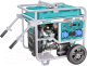 Бензиновый генератор TOTAL TP1150006 - 