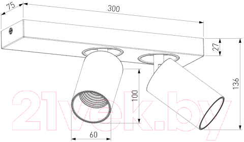 Спот Евросвет 20139/2 LED