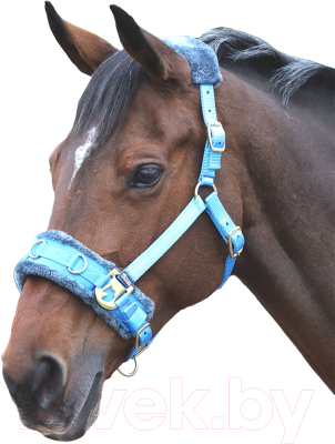Кавессон для лошади Shires PONY 4168 (голубой)