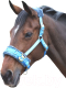 Кавессон для лошади Shires PONY 4168 (голубой) - 