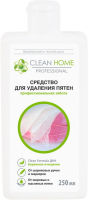 Пятновыводитель Clean Home Быстрое решение (250мл) - 