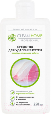 Пятновыводитель Clean Home Быстрое решение (250мл)