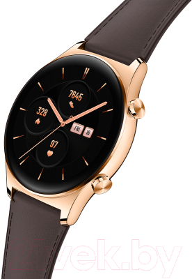 Умные часы Honor Watch GS 3 Classic Gold / MUS-B19