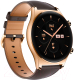 Миниатюра изображения товара Умные часы Honor Watch GS 3 Classic Gold / MUS-B19