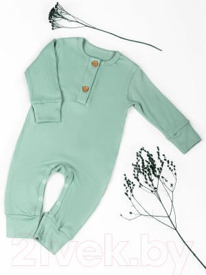 Комбинезон для малышей Amarobaby Fashion / AB-OD21-FS501/13-80 (зеленый, р. 80)