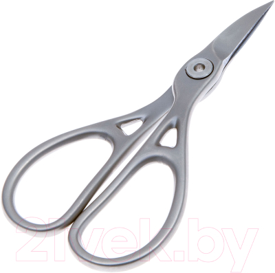 Ножницы для маникюра Premax Ringlock Nail Scissors 04PX002