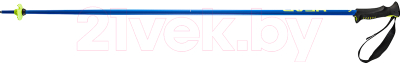 

Горнолыжные палки Head, Classic Neon Blue / 381915