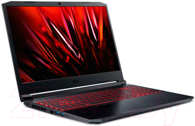 Игровой ноутбук Acer Nitro 5 (NH.QESEP.00D)