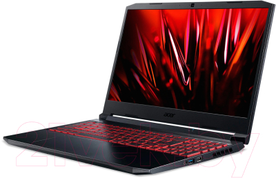 Игровой ноутбук Acer Nitro 5 (NH.QESEP.00D)