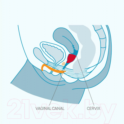 Изображение товара Менструальная чаша Fun Factory Fun Cup Size B / 95006 (30мл )